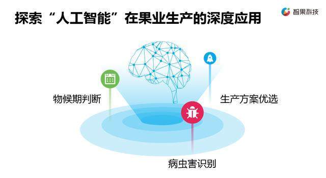 乡村振兴，科技赋能 新一代农业信息技术企业的软件战略